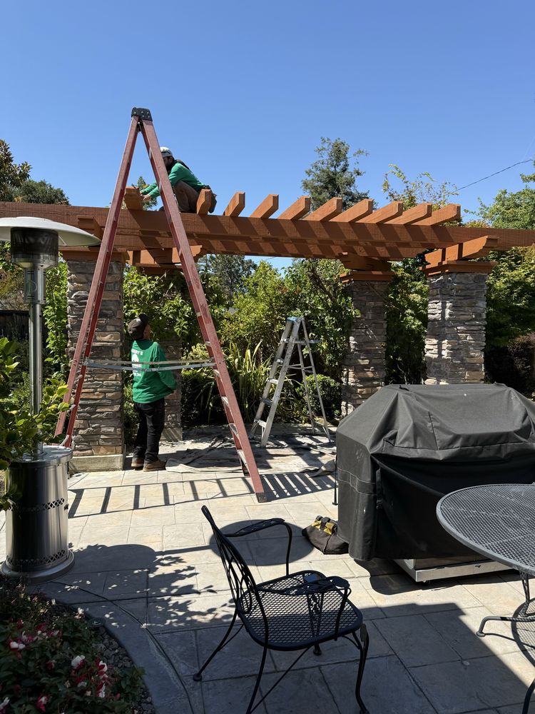 Benny's Tree and Fencing Service - tree service in San Jose, CA