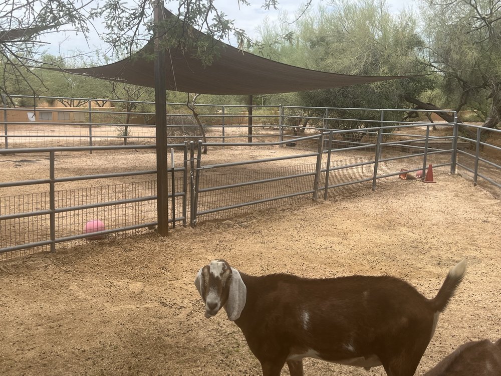 Cave Creek Montessori - childcare center in Cave Creek, AZ