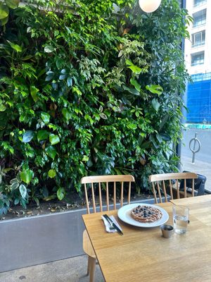 Kupfert & Kim by null