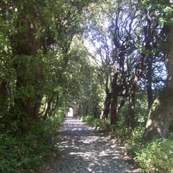 Villa Durazzo Pallavicini