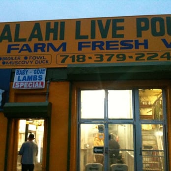Salahi Live Poultry - a man standing in front of a store - Meat Shops Near Me - Bronx, New York Salahi Live Poultry - a man standing in front of a store - Meat Shops Near Me - Bronx, New York