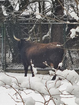 Hellabrunn Zoo by null