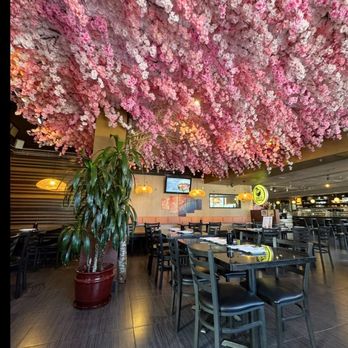 Drunken fish - Sushi Bars Near Me - Los Angeles, California Drunken fish - Sushi Bars Near Me - Los Angeles, California