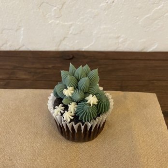 Urban Backyard - Mini Succulent Cupcakes - Coffee & Tea Near Me - New York, New York Urban Backyard - Mini Succulent Cupcakes - Coffee & Tea Near Me - New York, New York