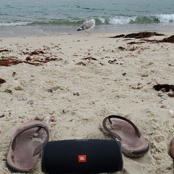 The Inkwell - Chillin - Beaches Near Me - Oak Bluffs, Massachusetts