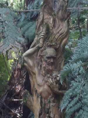 William Ricketts Sanctuary by null