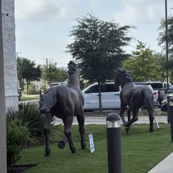 Embassy Suites by Hilton Round Rock - Hotels Near Me - Round Rock, Texas Embassy Suites by Hilton Round Rock - Hotels Near Me - Round Rock, Texas