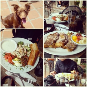 From Scratch Restaurant - Dog friendly! - Breakfast & Brunch Near Me - Carmel, California From Scratch Restaurant - Dog friendly! - Breakfast & Brunch Near Me - Carmel, California