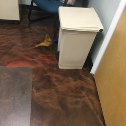Christina Teimouri, DPM - Beaver Valley Foot Clinic