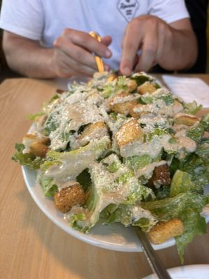 The Astarita by null