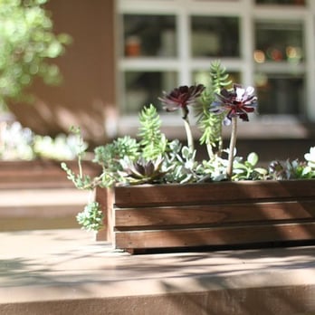 The Trails - outdoor seating - Cafes Near Me - Los Angeles, California The Trails - outdoor seating - Cafes Near Me - Los Angeles, California
