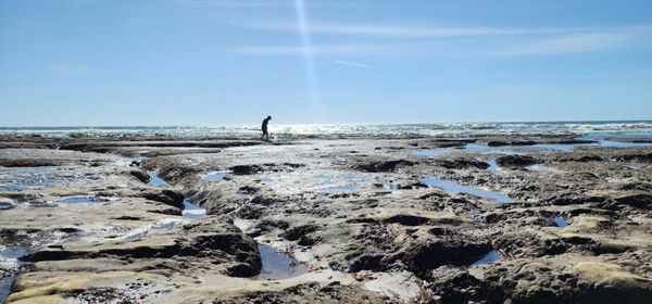 Jalama Beach County Park by null