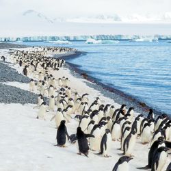 Evoke Travel - Extraordinary Wildlife