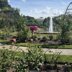 James P Kelleher Rose Garden