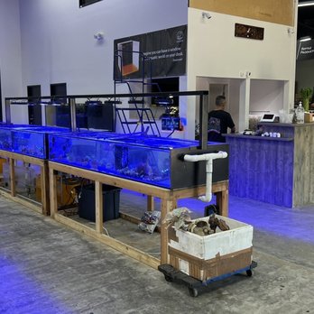 Ck Fish World - Local Fish Stores Near Me - West Covina, California