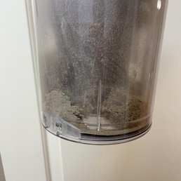 Dirt and dog hair pulled from the carpets after zero Rez had cleaned them
