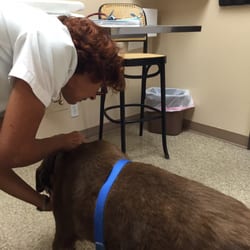 pup n suds mobile grooming