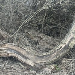 Dos Ríos Ranch State Park