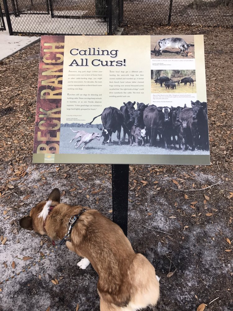 BECK RANCH PARK DOG PARK Updated November 2024 15 Photos SR415