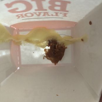 Arby's - NASTY HAIR we got for free with our roast beef slider. - Sandwiches Near Me - Camp Hill, Pennsylvania Arby's - NASTY HAIR we got for free with our roast beef slider. - Sandwiches Near Me - Camp Hill, Pennsylvania