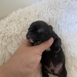 They helped deliver these gorgeous babies They helped deliver these gorgeous babies