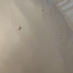 Dirty pillow.
