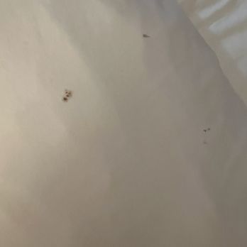 Fairfield by Marriott Inn & Suites Ukiah Mendocino County - Dirty pillow. - Hotels Near Me - Ukiah, California