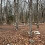 Photo of Evergreen Cemetery