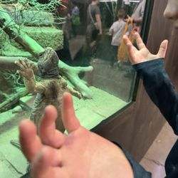 Little Ray's Nature Center