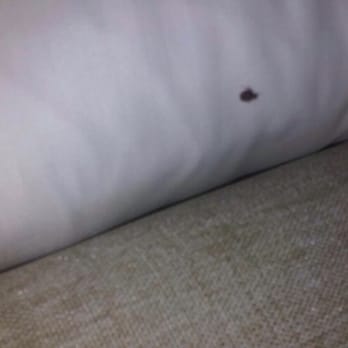 Howard Johnson by Wyndham Norco - Coming from under the bed - Hotels Near Me - Norco, California Howard Johnson by Wyndham Norco - Coming from under the bed - Hotels Near Me - Norco, California