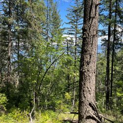 Gold Hill Trailhead