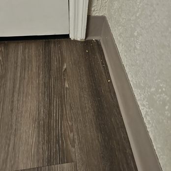 Quality Inn & Suites - It's like they don't clean behind the doors? - Hotels Near Me - Des Moines, Iowa Quality Inn & Suites - It's like they don't clean behind the doors? - Hotels Near Me - Des Moines, Iowa