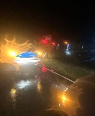 New Bern Tours by null