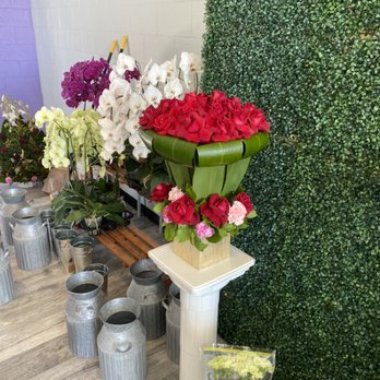 Sammy's Blossoms - Sammy's Blossoms Grand Opening. - Floral Designers Near Me - Santa Monica, California Sammy's Blossoms - Sammy's Blossoms Grand Opening. - Floral Designers Near Me - Santa Monica, California