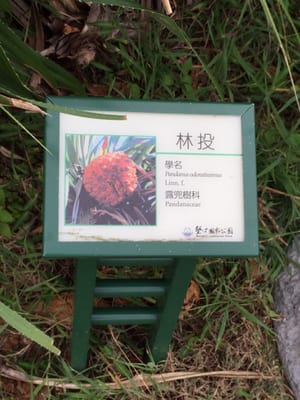 Kenting National Park by null