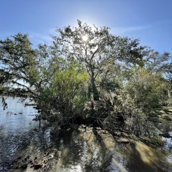 Airboat Adventures - Boat Tours Near Me - Lafitte, Louisiana Airboat Adventures - Boat Tours Near Me - Lafitte, Louisiana