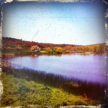 Left Coast Estate - Beautiful lake - Wineries Near Me - Rickreall, Oregon