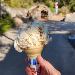 Edmonton Valley Zoo - Ice cream for $7.50