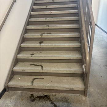Jefferson Northlake - Urine in stairwell - Apartments Near Me - Fort Worth, Texas