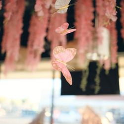 Meet Up Boba Teahouse and Cafe