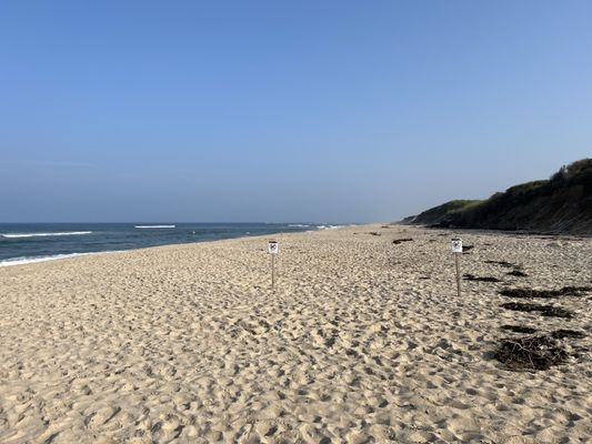 Coast Guard Beach by null