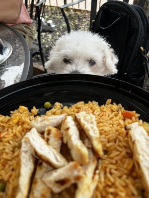 The Annex Crafthouse by null