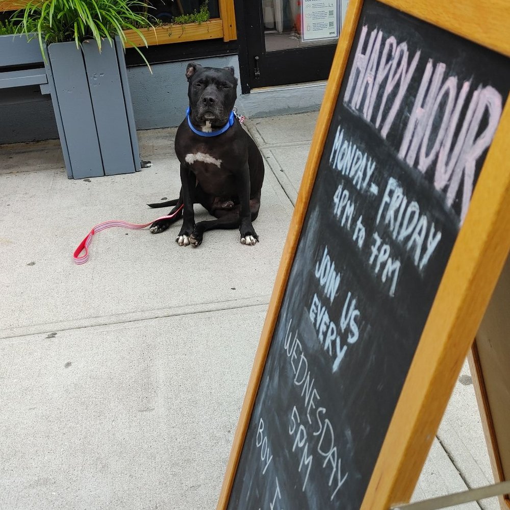 Bee Cafe - Everyday Happy Hour Mon 2 Fri "4pm to 7pm" Wednesday 5pm BBQ special - Cafes Near Me - Woodside, New York Bee Cafe - Everyday Happy Hour Mon 2 Fri "4pm to 7pm" Wednesday 5pm BBQ special - Cafes Near Me - Woodside, New York
