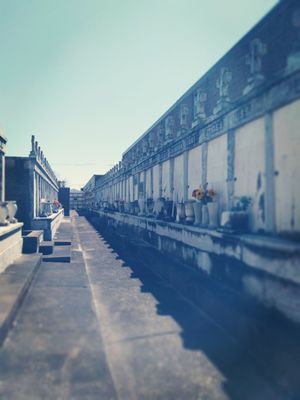 St Vincent De Paul Cemetery by null