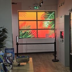 Canna Cabana