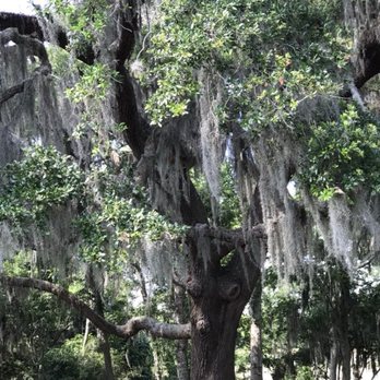 Brazos Bend State Park - Parks Near Me - Needville, Texas Brazos Bend State Park - Parks Near Me - Needville, Texas