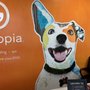 Dogtopia - Columbus