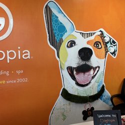Dogtopia - Columbus - Dogtopia downtown Columbus lobby