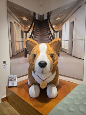 The Royal Yacht Britannia by null