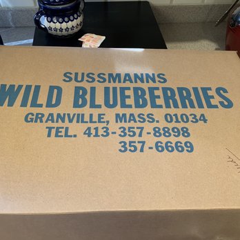Sussmann's Wild Blueberries - Every summer we try to get up their way - this years batch jellies and baking stock. - Fruits & Veggies Near Me - Granville, Massachusetts